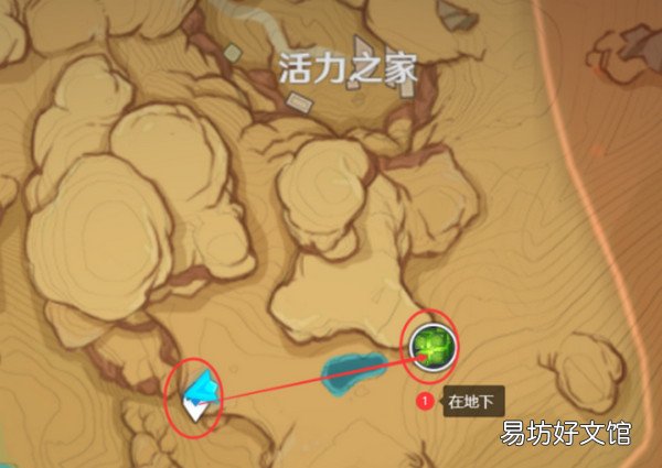 原神无相之草位置在哪里 原神无相之草位置攻略