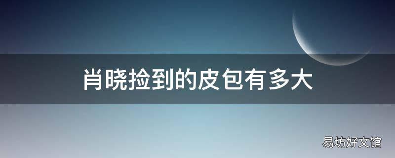 肖晓捡到的皮包有多大