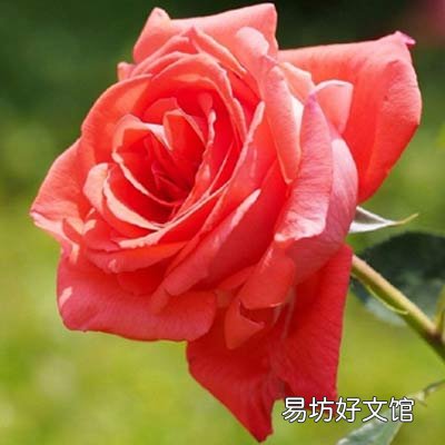 家里少这物注定会诸事不顺