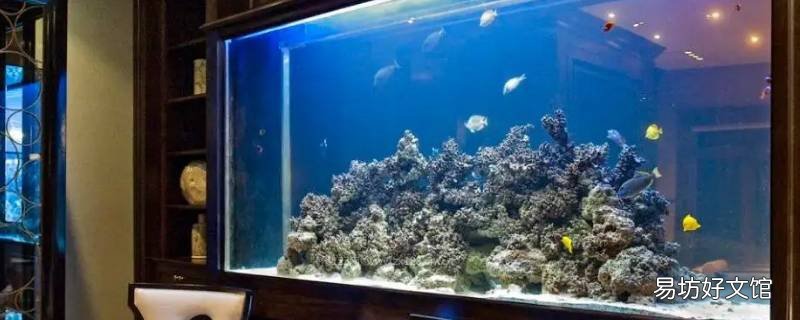 no1鱼缸水泵怎么样