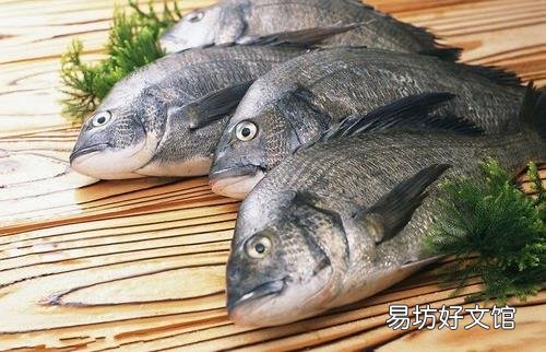 鱼的哪些部位比较有营养?洗鱼有什么技巧?