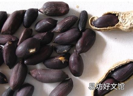黑花生的营养价值-黑花生怎么吃更有营养