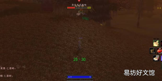 魔兽世界剥皮攻略