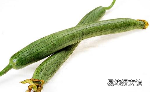 丝瓜的12种功效 治疗疾病胜良药
