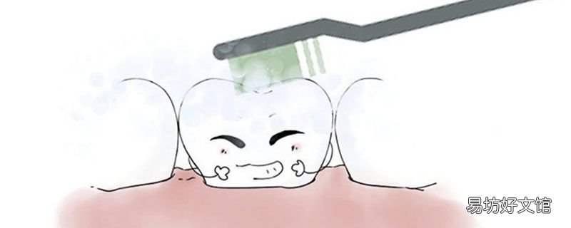 电动牙刷头多长时间换一次