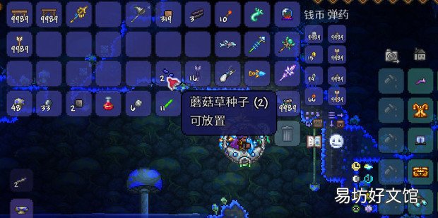 泰拉瑞亚蘑菇草种子怎么获得