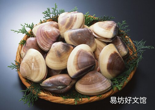 蛤蜊的营养价值-蛤蜊的做法