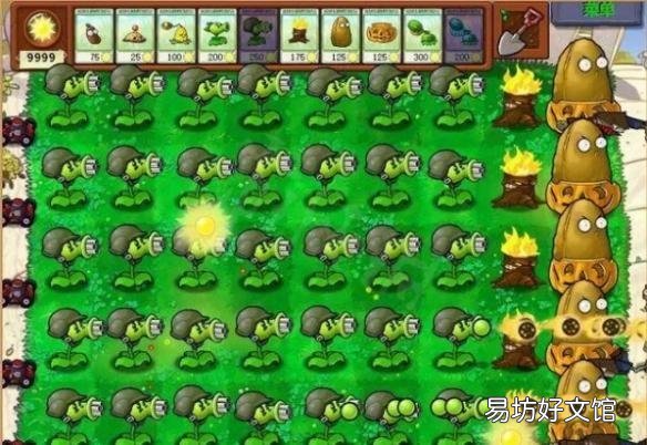 植物大战僵尸四种高效攻略 植物大战僵尸攻略大全
