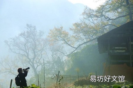 从众的本能,你是哪个与众不同的人吗?