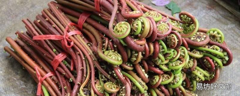 新鲜的蕨菜泡多久