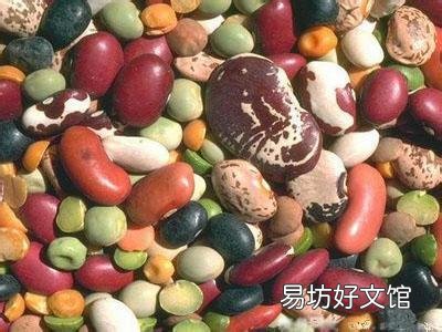 常吃豆类食品有什么好处?各种豆类的营养价值功效