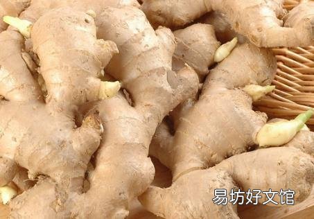 生姜的营养价值-生姜的功效与作用
