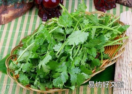 香菜怎么吃？香菜的营养价值、功效与作用