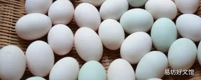 50个鸭蛋放多少盐腌制