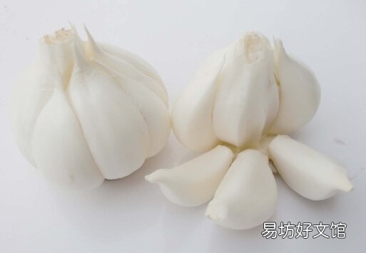 大蒜的基本介绍-大蒜的副作用