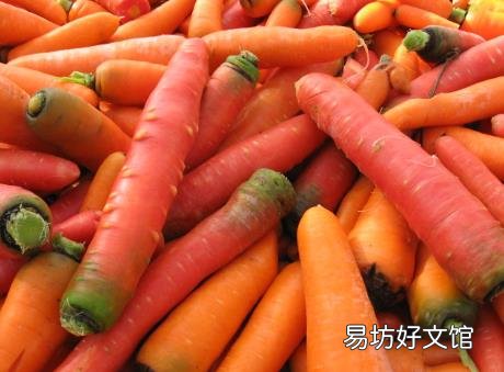 胡萝卜的营养价值-胡萝卜的功效与作用