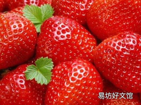 草莓的营养价值、功效与作用、食用禁忌