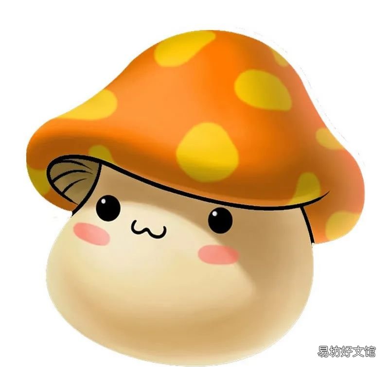 经典网游冒险岛2发布停运通知 冒险岛2