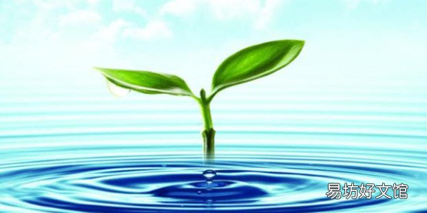怎样保护水资源10条