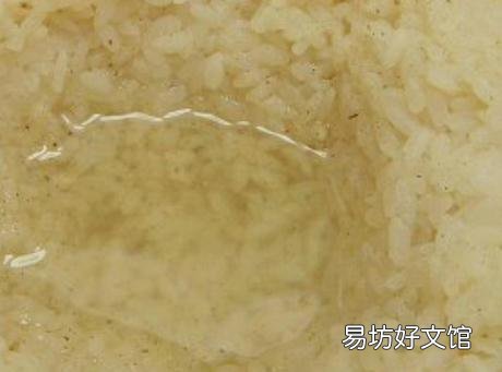 米酒 醪糟是什么？醪糟怎么吃？米酒的吃法