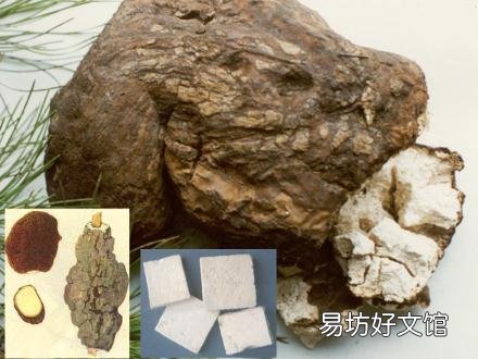 茯苓的功效与作用-茯苓的食用方法
