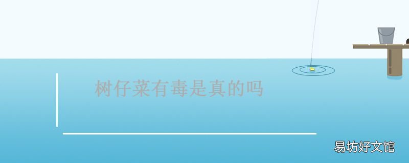 树仔菜有毒是真的吗