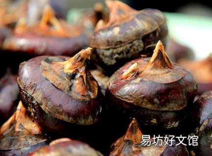 吃马蹄有什么好处？马蹄/荸荠的功效与作用