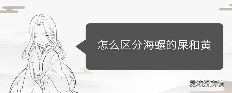 怎么区分海螺的屎和黄