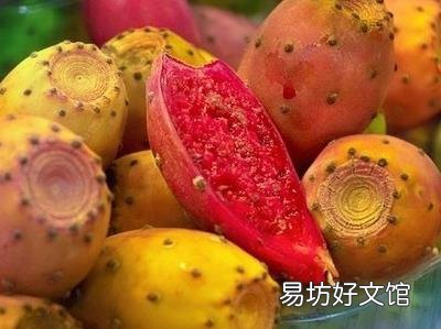 仙人掌果的营养价值-仙人掌果的功效与作用