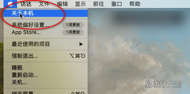 苹果电脑c盘满了怎么清理