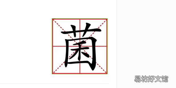 菌的两种读音怎么区分