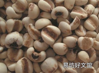 吃薏米有什么好处?薏米的功效与作用及食用方法