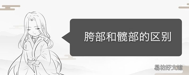 胯部和髋部的区别