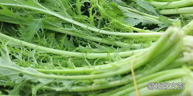 雪里红酸菜的腌制方法