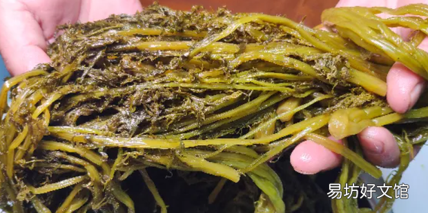 雪里红酸菜的腌制方法