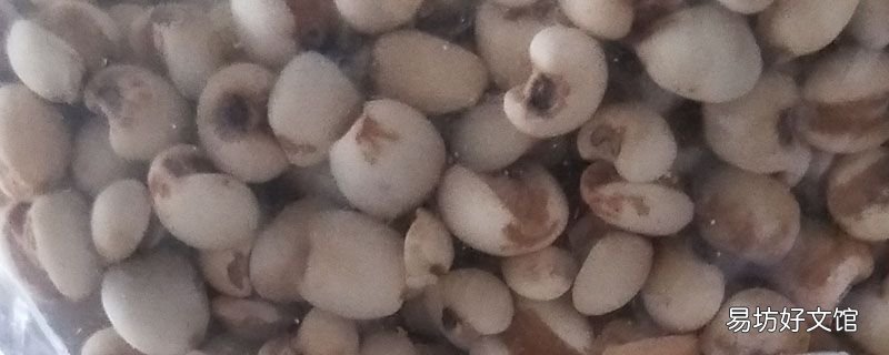 怎样捂酱豆不发黑