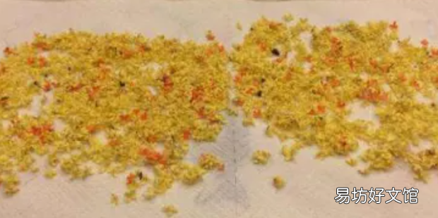 清洗桂花的详细步骤