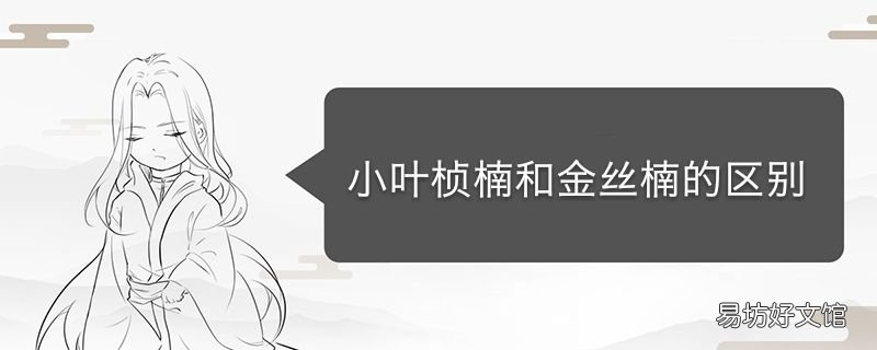 小叶桢楠和金丝楠区别