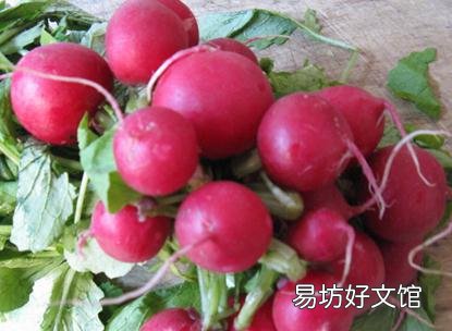 水萝卜的功效与作用-水萝卜的营养价值
