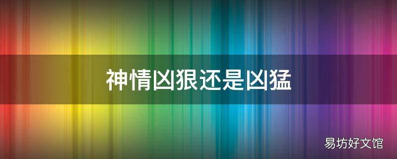 神情凶狠还是凶猛