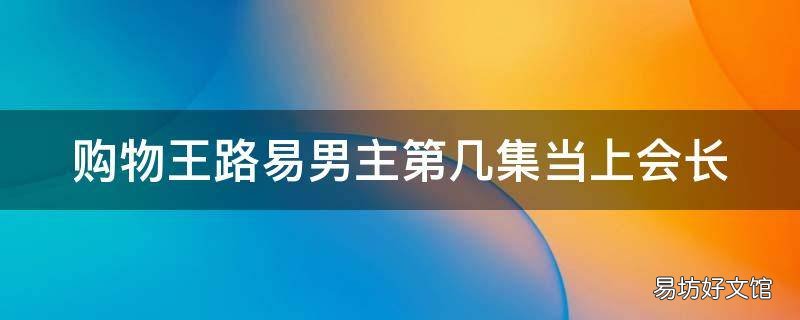 购物王路易男主第几集当上会长