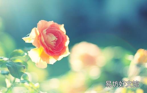 幸福夫妻都有这些好习惯