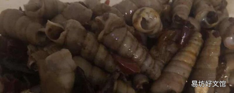裙边瑶柱肉怎么清洗