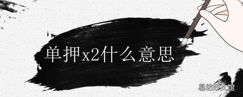 单押x2什么意思
