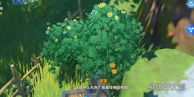 原神天遒宝迹任务宝藏在哪