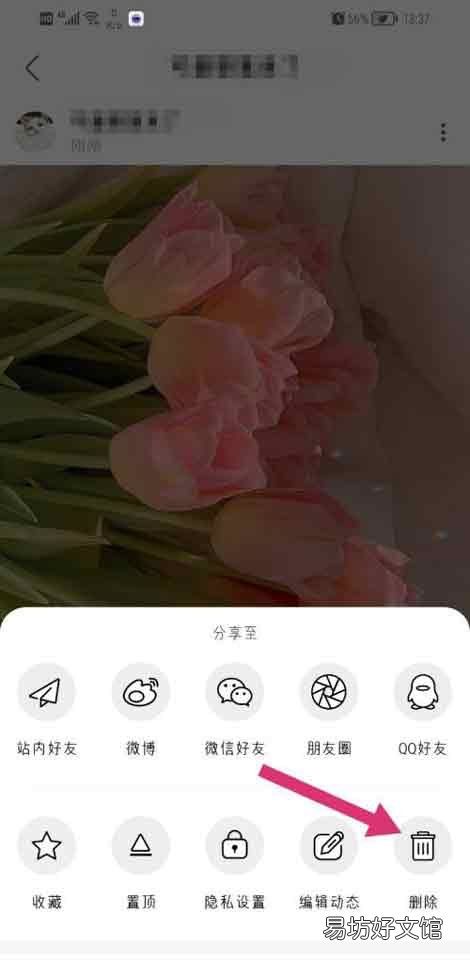 绿洲app在哪删除发布动态-绿洲删除发布的动态教程