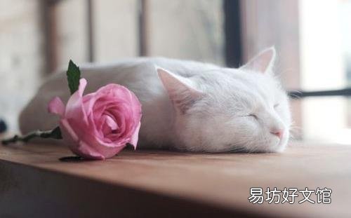 婚姻学会定期“储蓄”才幸福