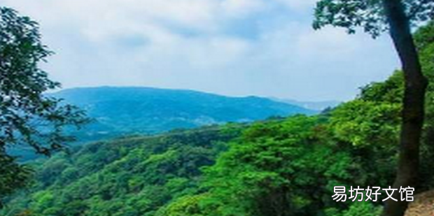 广州油麻山徒步攻略