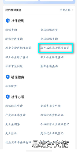 怎么查询城乡居民养老保险缴费记录