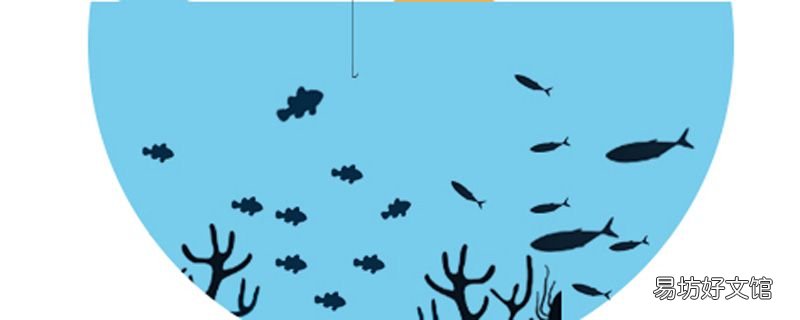 海牛在哪個地方吃奶